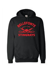 Load image into Gallery viewer, Badger Sport Hoodie
